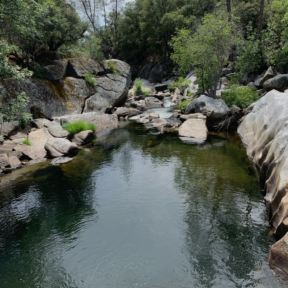 Meet your Posher, Alyssia